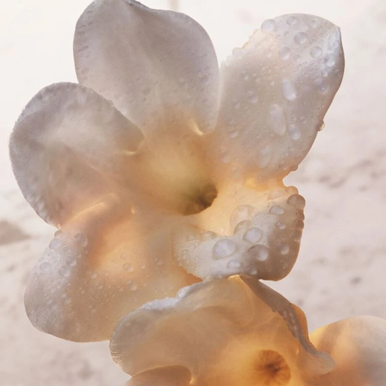 Paco Rabanne Olympea Bodylotion, 200 Ml 4 Paco Rabanne Olympea Bodylotion, 200 Ml - Billede 4