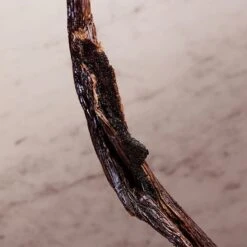 Paco Rabanne Olympea Bodylotion, 200 Ml 11 Paco Rabanne Olympea Bodylotion, 200 Ml -Clarins Salgsbutik 3349668528721 5