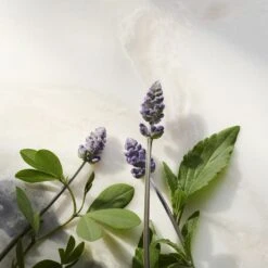 Rituals Glow Anti-Age Refill Dagcreme, The Ritual Of Namaste, 50 Ml -Clarins Salgsbutik 8719134120295 5