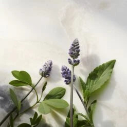 Rituals Glow Anti-Age Natcreme, The Ritual Of Namaste, 50 Ml -Clarins Salgsbutik 8719134120325 5