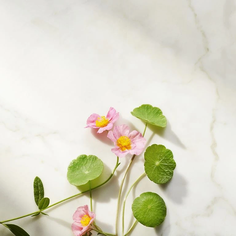 Rituals Ageless Firming Natcreme, The Ritual Of Namaste, 50 Ml 4 Rituals Ageless Firming Natcreme, The Ritual Of Namaste, 50 Ml - Billede 4