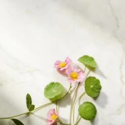 Rituals Ageless Firming Natcreme Refill, The Ritual Of Namaste, 50 Ml 13 Rituals Ageless Firming Natcreme Refill, The Ritual Of Namaste, 50 Ml -Clarins Salgsbutik 8719134120394 5