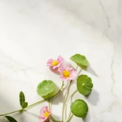 Rituals Ageless Firming Serum Refill, The Ritual Of Namaste, 30 Ml -Clarins Salgsbutik 8719134120431 4