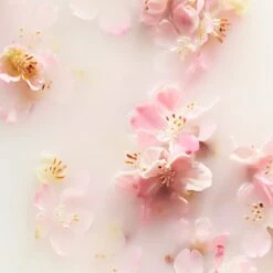 Rituals Recovery Hand Balm, The Ritual Of Sakura, 70 Ml -Clarins Salgsbutik 8719134143324 3