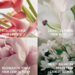 DIOR Capture Totale C.E.L.L. ENERGY - Firming & Wrinkle-Correcting Creme, 50 Ml -Clarins Salgsbutik dior capture totale cell energy firming and wrinkle correcting creme 5