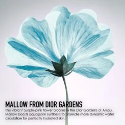 DIOR Hydra Life Sorbet Eye Gel Eye Cream, 15 Ml -Clarins Salgsbutik dior hydra life sorbet eye gel eye cream 2