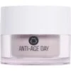Anti Age Day Jar, 50 Ml 2 Anti Age Day Jar, 50 Ml -Clarins Salgsbutik nilens jord anti age day jar 50 ml